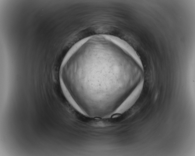 X0000084010755200703091927