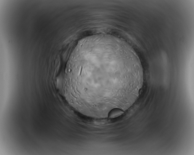 X0000084010757200703091927