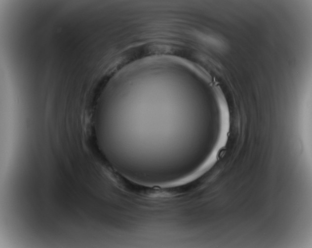 X0000084010759200703091927