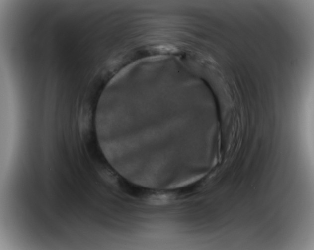 X0000084010760200703091927