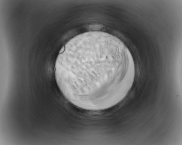 X0000084010761200703091927