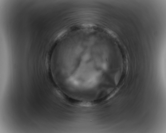 X0000084010762200703091927