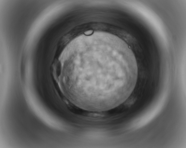 X0000084010765200703091927