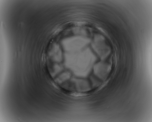 X0000084010766200703091927