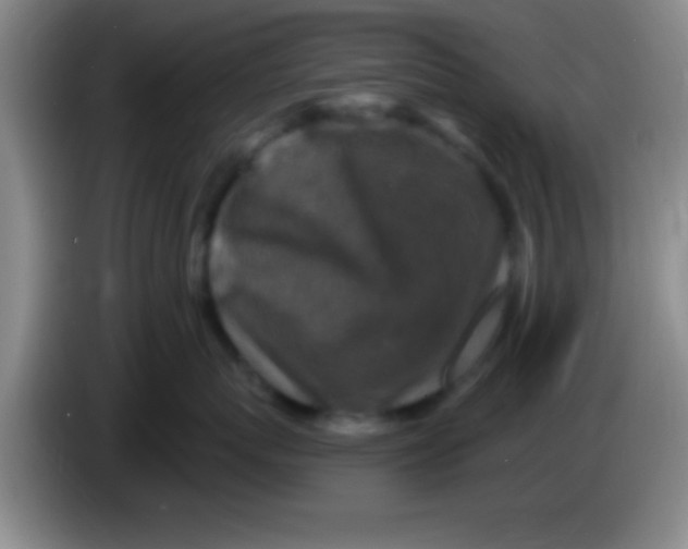 X0000084010767200703091927