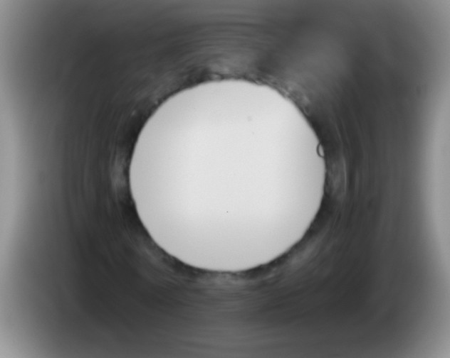 X0000084010770200703091926