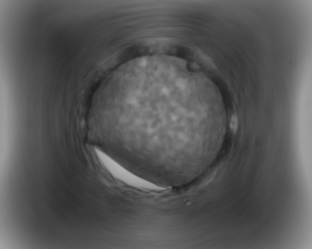 X0000084010771200703091926