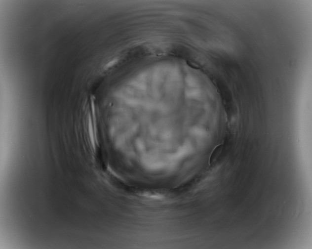 X0000084010772200703091926