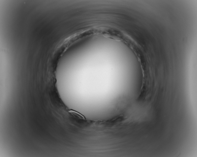 X0000084010773200703091926