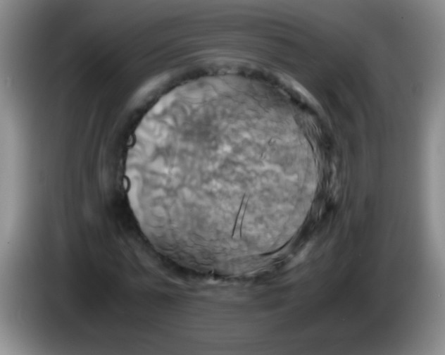 X0000084010775200703091926