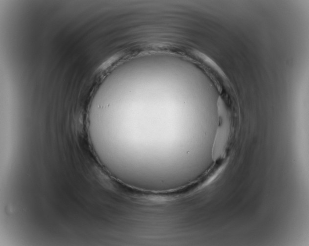 X0000084010777200703091926