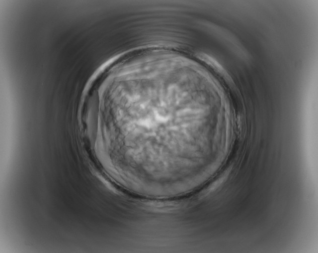 X0000084010780200703091926