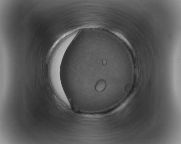 X0000084010781200703091926