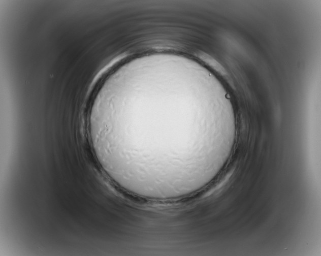 X0000084010782200703091926