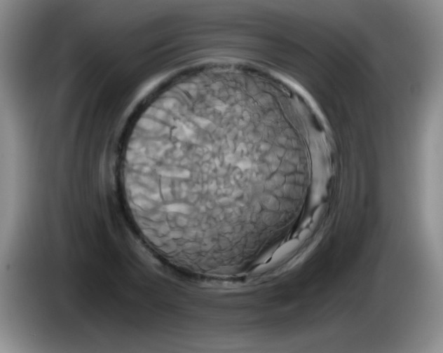 X0000084010783200703091926