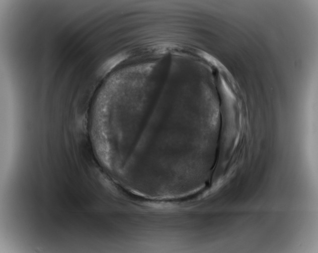 X0000084010785200703091926