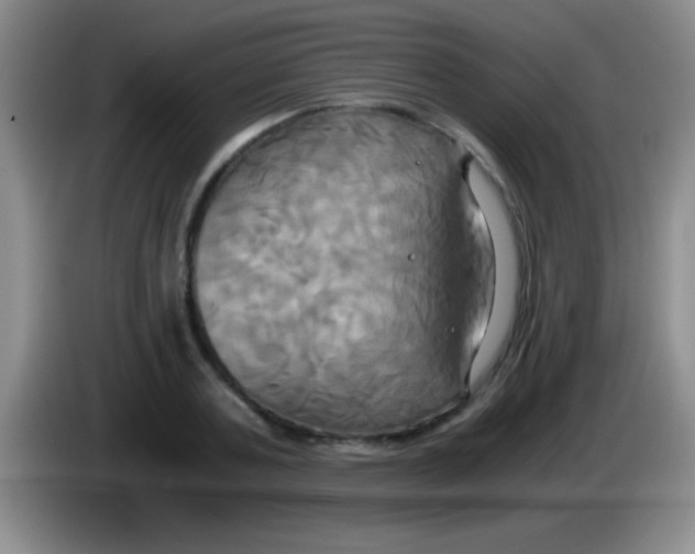 X0000084010787200703091926