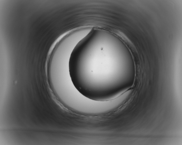 X0000084010788200703091926