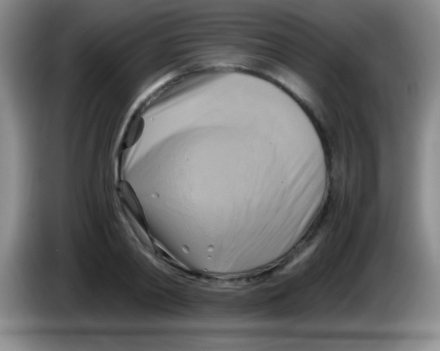 X0000084010790200703091926