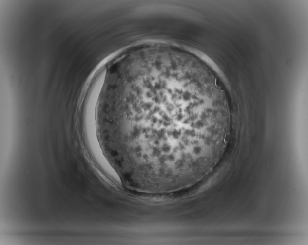 X0000084010791200703091926