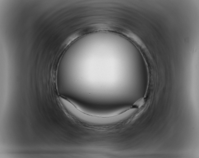 X0000084010793200703091926