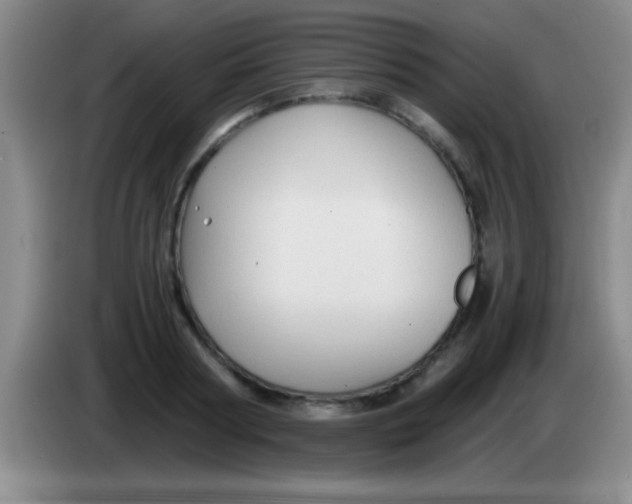 X0000084010794200703091926