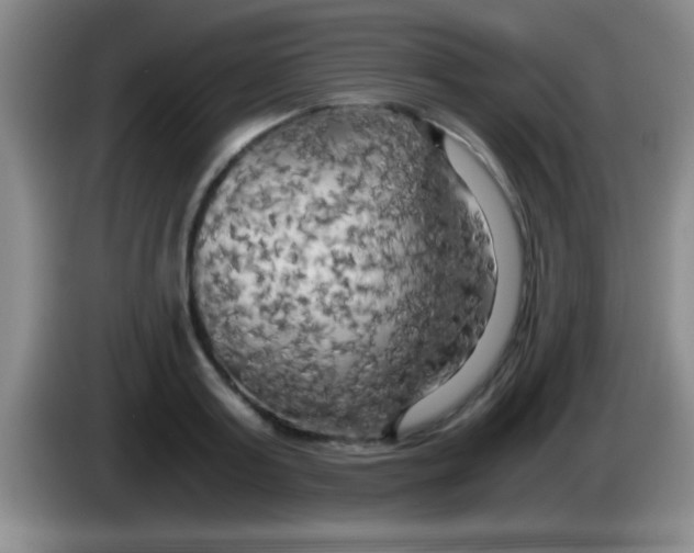 X0000084010795200703091926