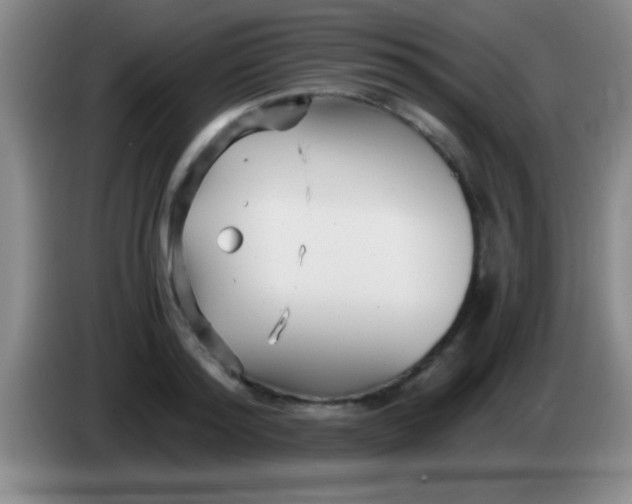 X0000084010796200703091926