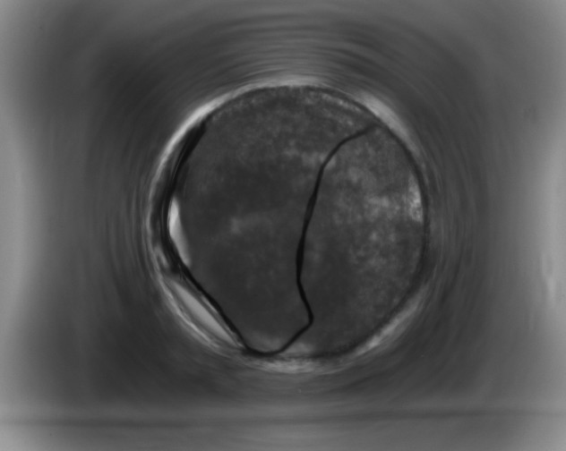 X0000084010797200703091926