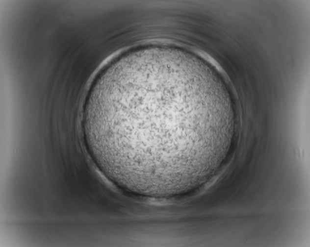 X0000084010799200703091926