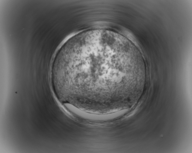 X0000084010803200703091926