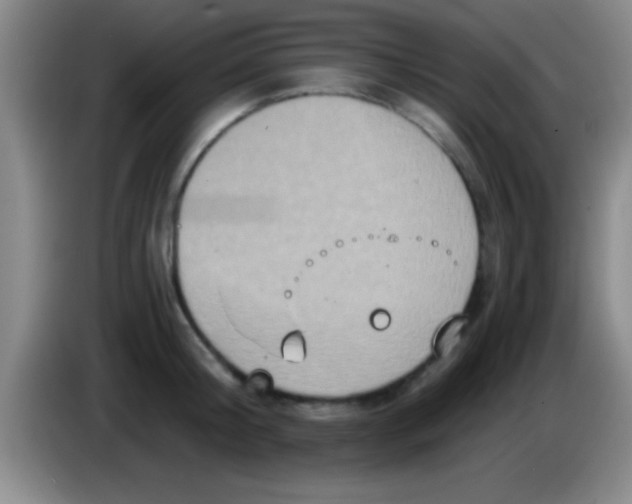 X0000084010804200703091926