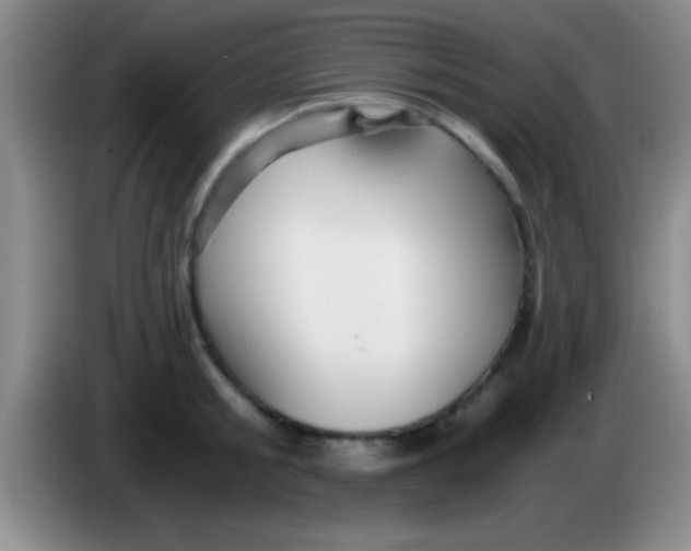 X0000084010805200703091926