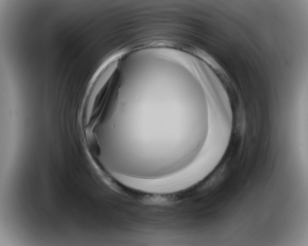 X0000084010806200703091926