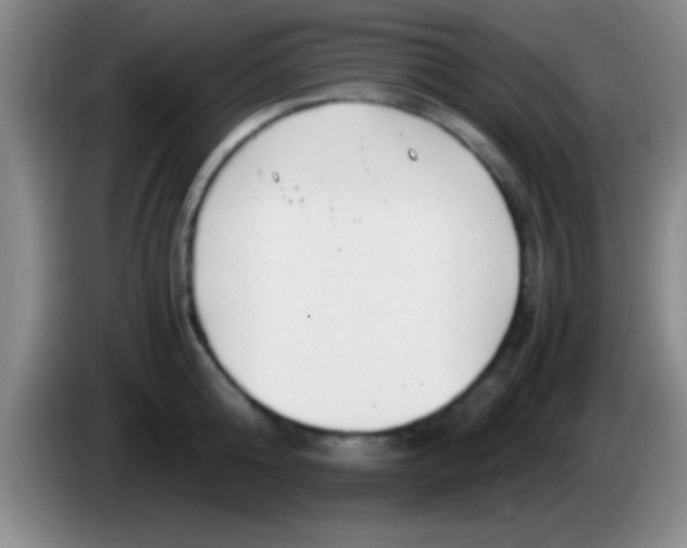 X0000084010808200703091926