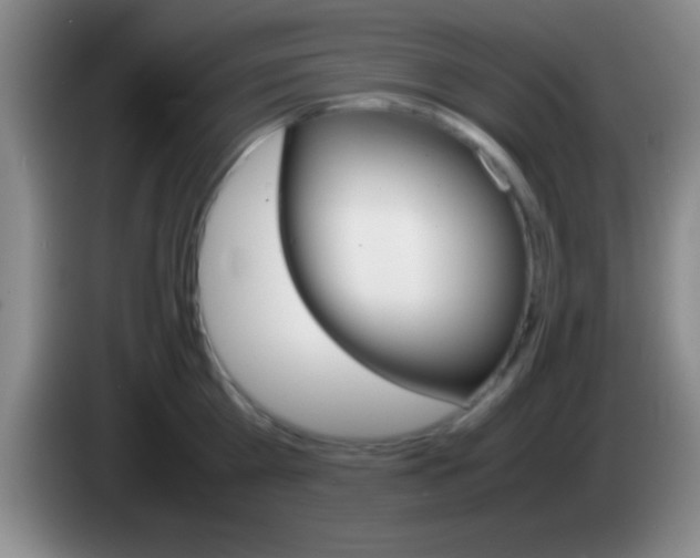 X0000084010809200703091926