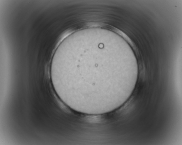 X0000084010810200703091926