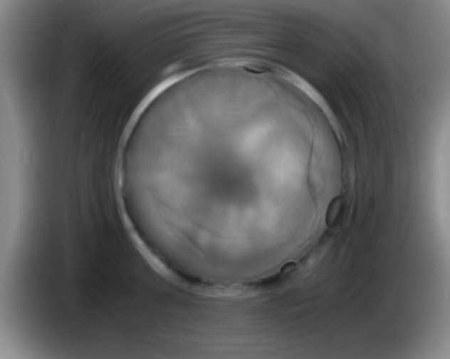 X0000084010811200703091926