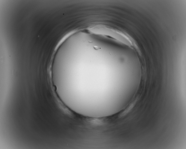 X0000084010814200703091926