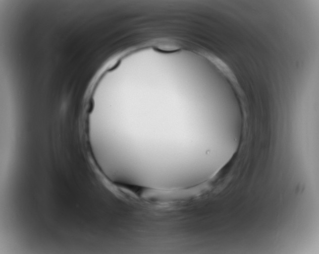 X0000084010816200703091926