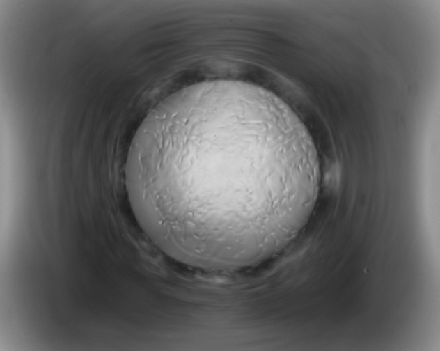 X0000084010819200703091925