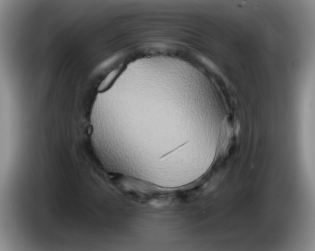 X0000084010822200703091925