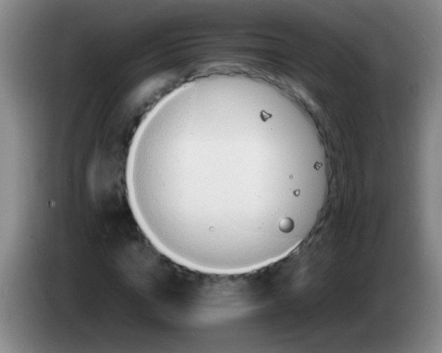 X0000084010824200703091925