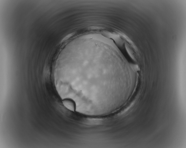 X0000084010825200703091925