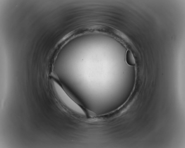 X0000084010826200703091925