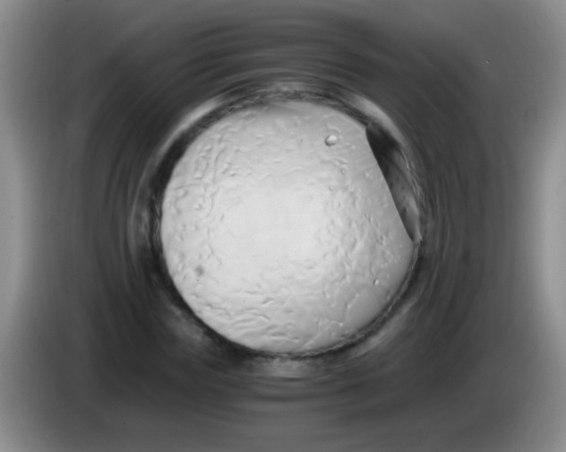 X0000084010827200703091925