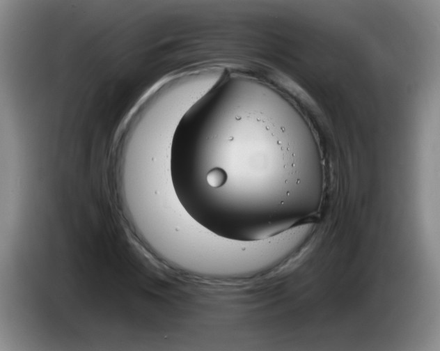 X0000084010828200703091925