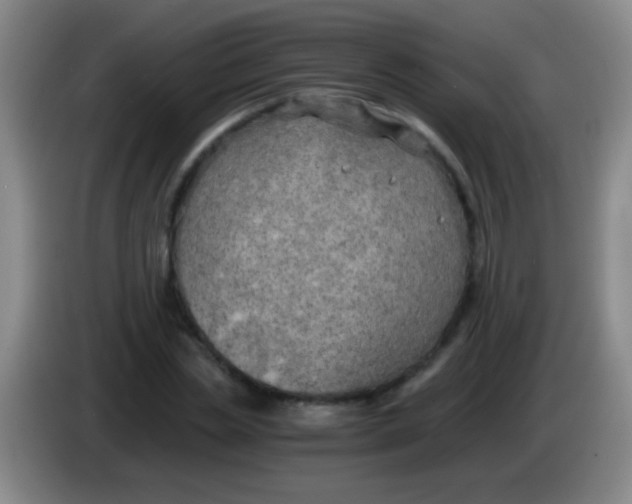 X0000084010829200703091925