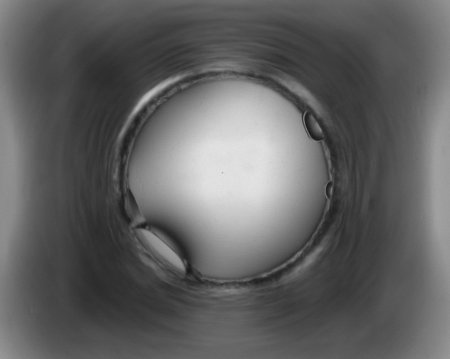 X0000084010830200703091925