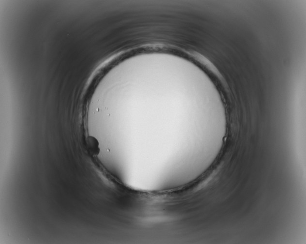 X0000084010831200703091925